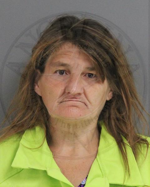 Mugshot of CARMEN VANN