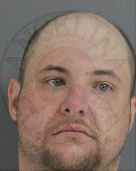 Mugshot of BRIAN TAYLOR STERLING