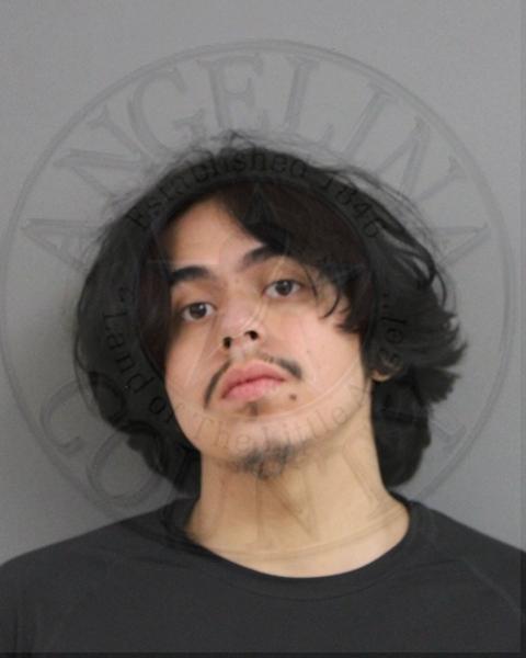 Mugshot of TIMOTHY ANCIRA