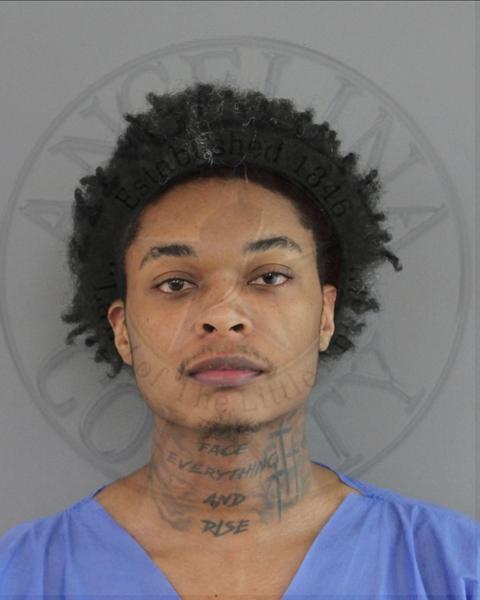 Mugshot of CHRISTOPHER DEWAYNE MCGOWAN