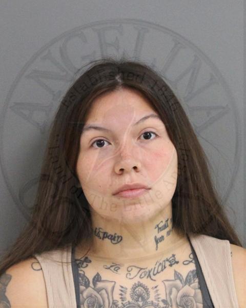 Mugshot of AMY FUENTES