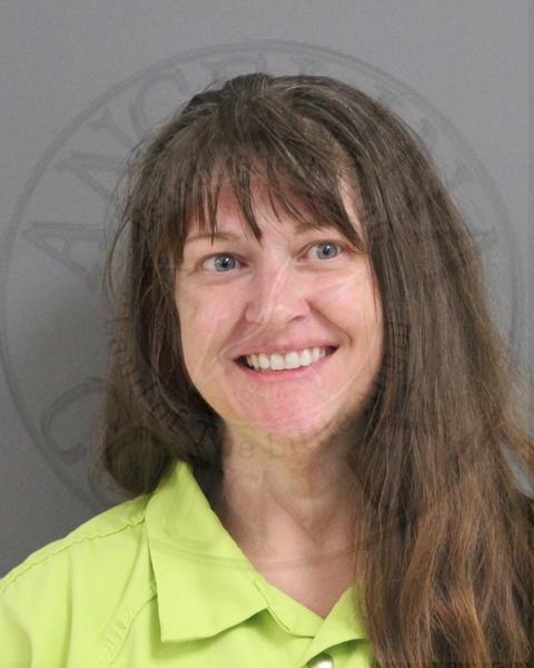 Mugshot of MORGAN ANN LILLEY
