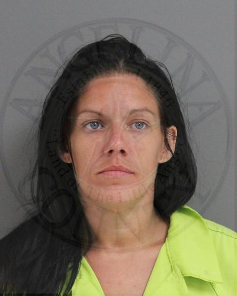 Mugshot of KATIE DYAN HORN