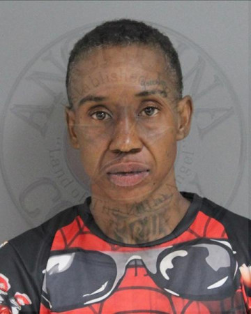 Mugshot of TANEISHA LASHAYE WADE
