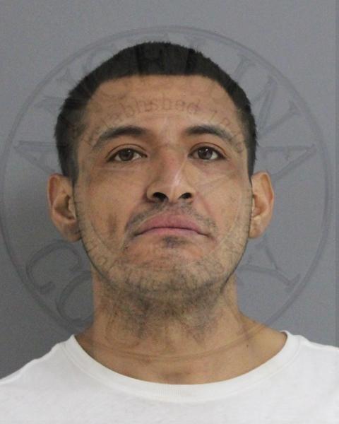 Mugshot of MIGUEL ANGEL RIVERA