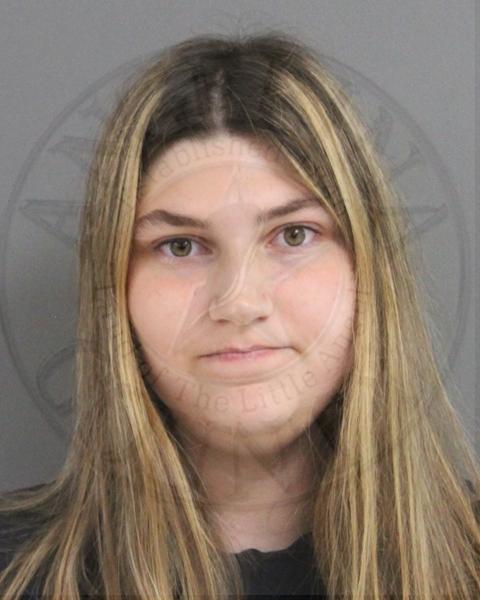 Mugshot of ALYSSA LEE HEBERT