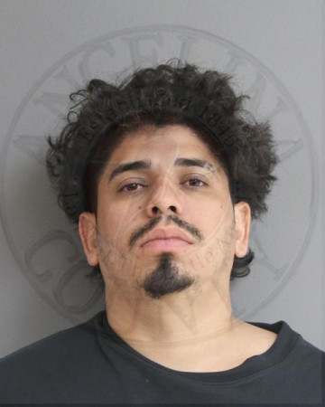 Mugshot of ANGEL JOEL ALVARADO