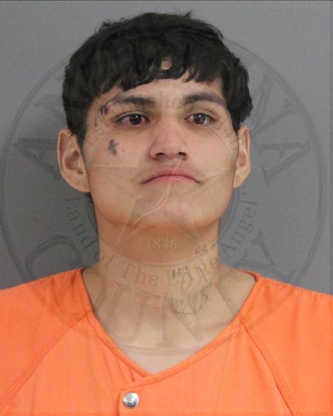 Mugshot of JOSE ESCARENO