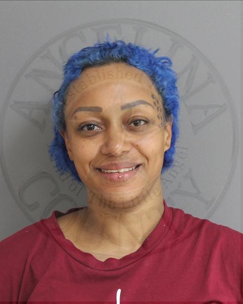 Mugshot of CRYSTAL LEE HOLLENBECK