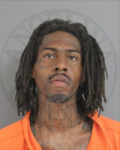 Mugshot of MICHAEL WAYNE, Jr. RANGE
