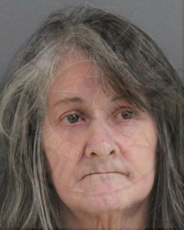 Mugshot of JENNY MELISSA ROARK