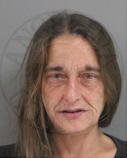 Mugshot of CYNTHIA MICHELE LANGLEY