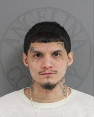 Mugshot of ERIC REYNA
