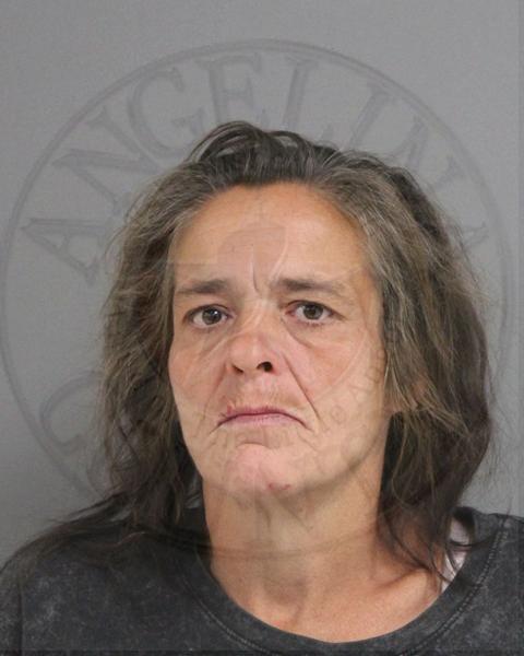 Mugshot of ROBBIE ANN FREE