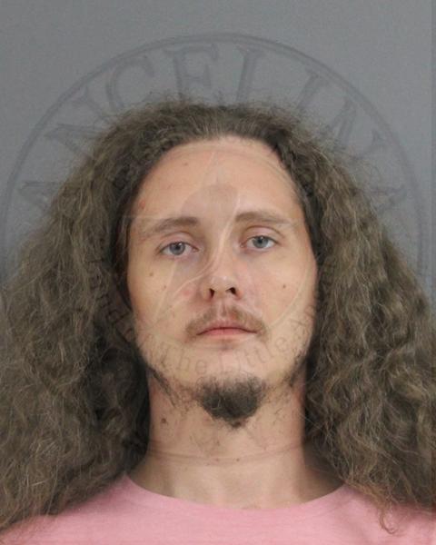Mugshot of SCHYLER KNIGHTEN DAVIS