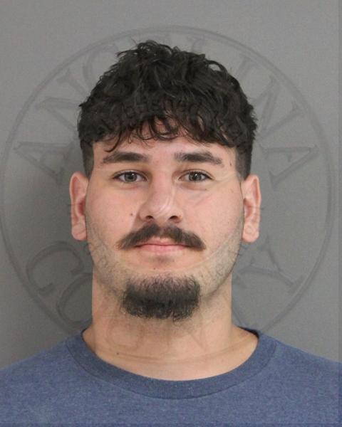 Mugshot of LOGAN LANGSTON JOPLING