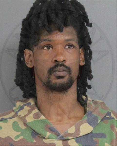 Mugshot of CHAZ LYNN JONES