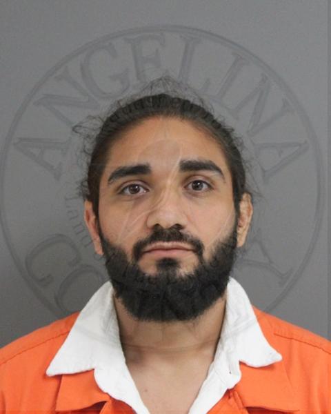 Mugshot of LUIS HERNANDEZ