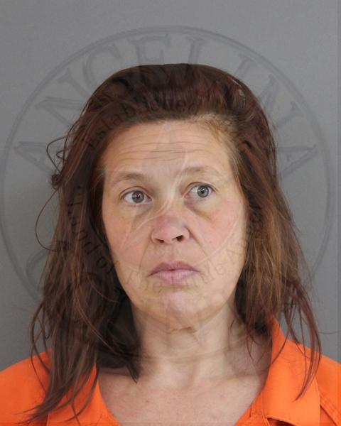 Mugshot of HALEY AMBER WEBSTER