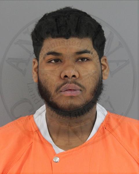 Mugshot of PERRY LYNN, III DIXON