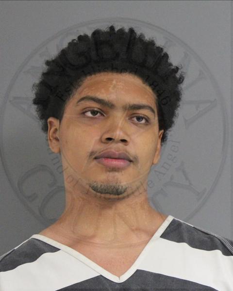 Mugshot of ALEJANDRO PRECIADO