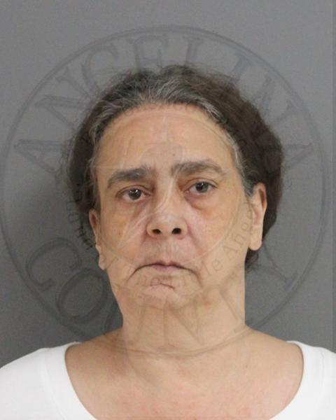 Mugshot of DIANA PEARL JOHNSON