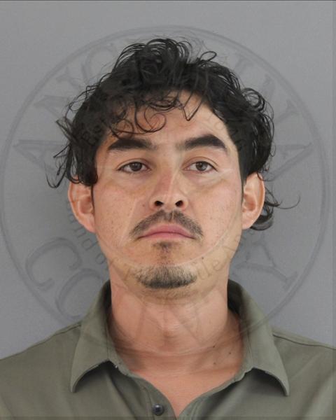 Mugshot of JOSE FRANCISCO BUSTOS
