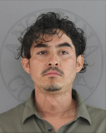 Mugshot of JOSE FRANCISCO BUSTOS