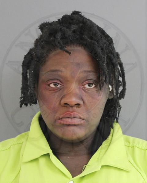 Mugshot of BRITTANY ROCHELLE SMALLWOOD