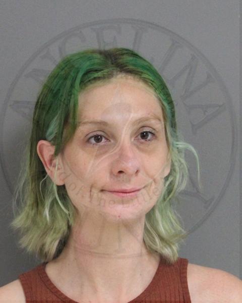 Mugshot of BREANNA STEVESON