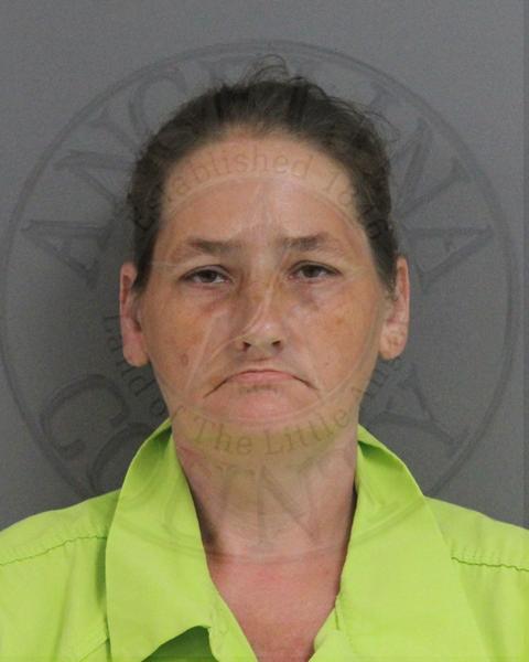 Mugshot of CINDY POTTER