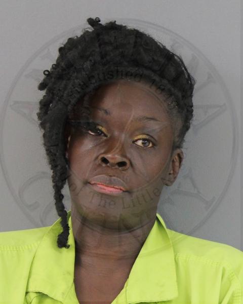 Mugshot of LASHUNDA MONIQUE ERVIN