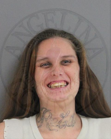 Mugshot of HEATHER CATER