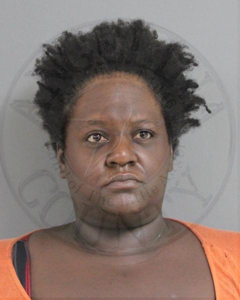 Mugshot of JOCELYN PATRICE WILLIAMS
