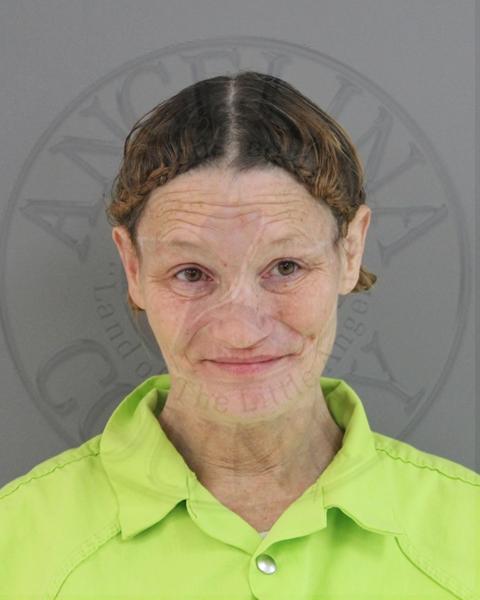 Mugshot of MICHELLE MARIE LACOUNT