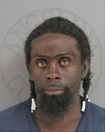 Mugshot of LAMAR O SCOTT