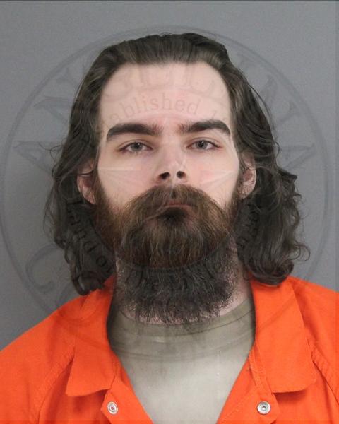 Mugshot of DONAVAN LESTAT VANYA