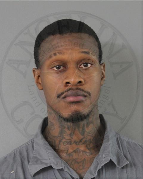 Mugshot of THADDEUS, Jr. RICHARDSON