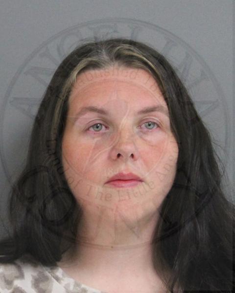 Mugshot of SHERRY DUKE