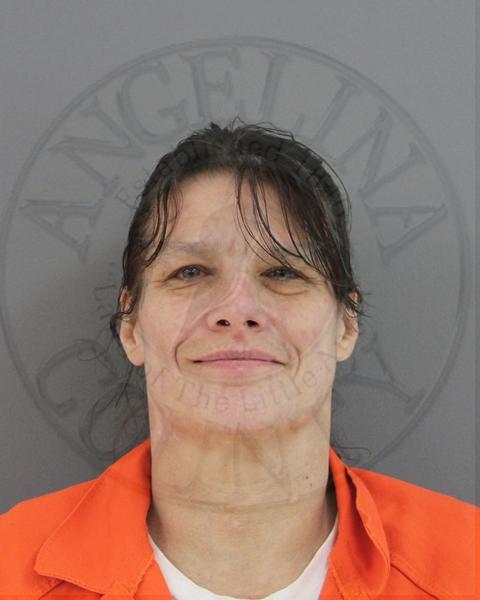 Mugshot of MISTY DAWN HICKOX