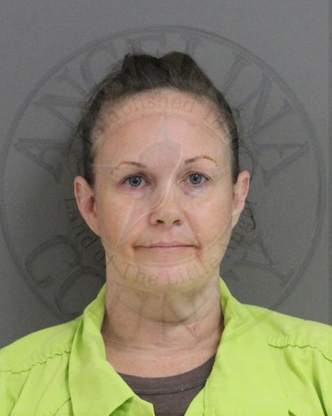 Mugshot of LISA MCGEE