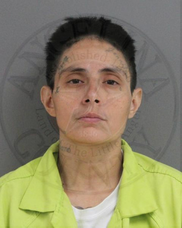 Mugshot of LUZ MILAGROS ALANIZ
