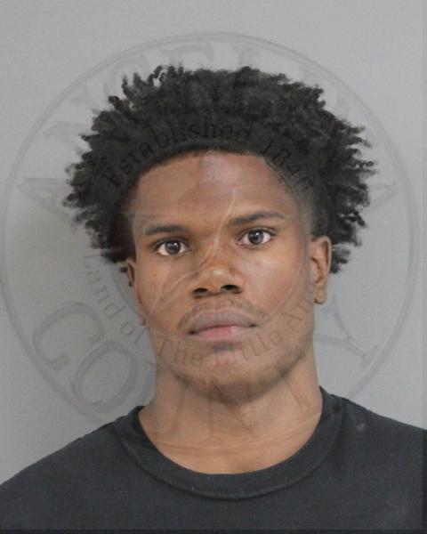 Mugshot of IRYLAND CURRY