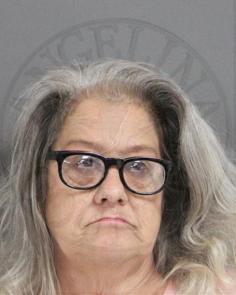Mugshot of LISA DIANNE GADDY