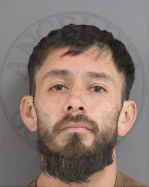 Mugshot of LUIS MALDONADO