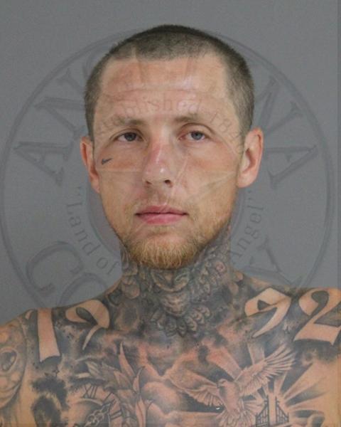 Mugshot of DYLAN DEAN MEZGER