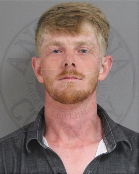 Mugshot of LOGAN WADE MCLEMORE