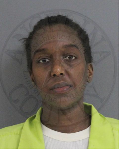 Mugshot of AMBER JOANN PROVOST