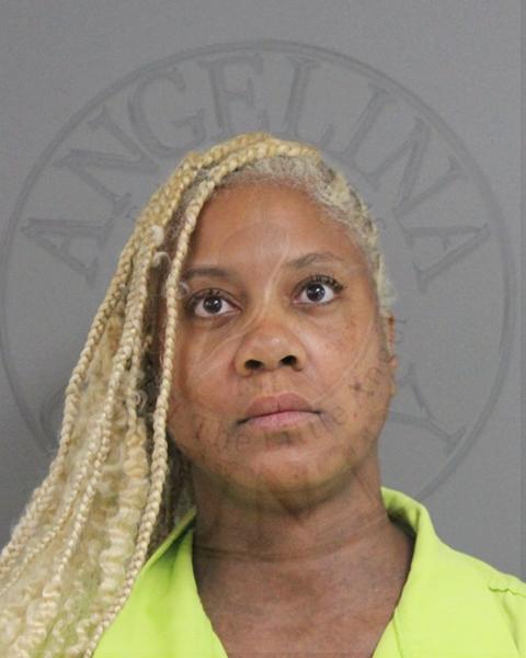 Mugshot of SHERRELL DONNETTA CURRY