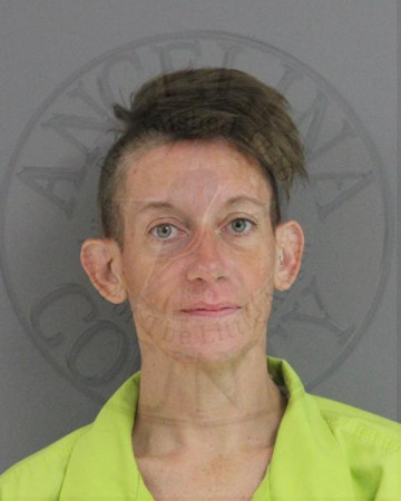 Mugshot of KRISTY TEER